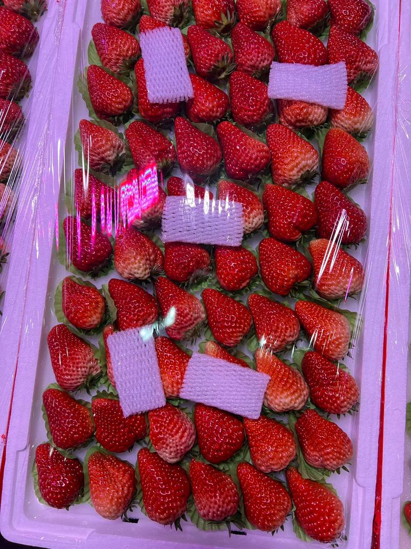丹东商品批发