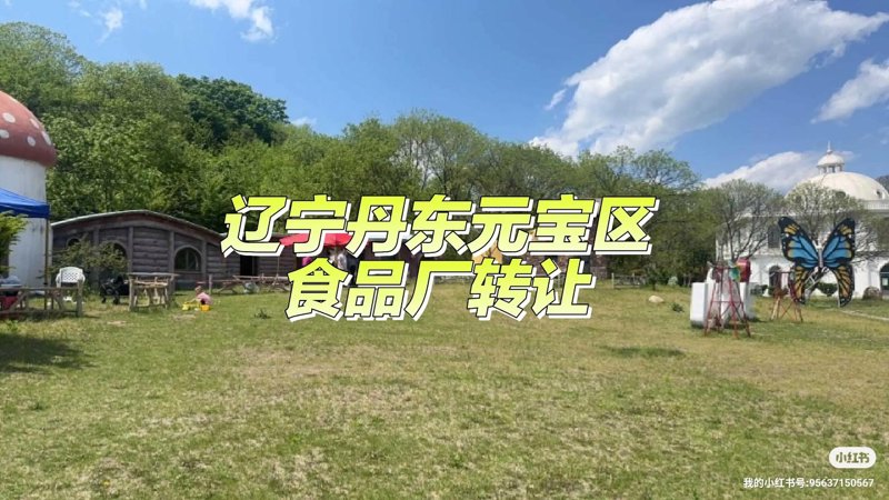 丹东商贸公司的商业风向标